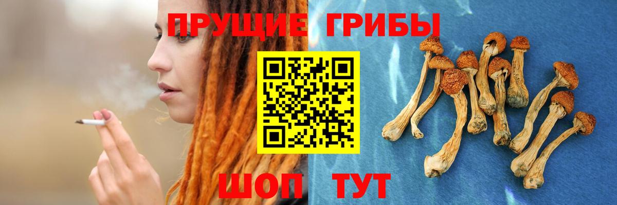 Галлюциногенные грибы ЛСД Дальнереченск