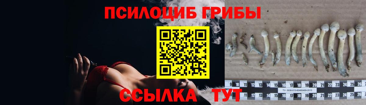 Псилоцибиновые грибы Cubensis  Вход с VPN  Дальнереченск 